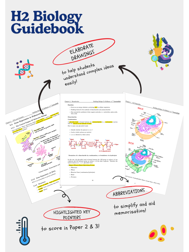 H2 Biology Mastery Guide: Coloured, Concise A-Level Notes - Singapore Edition
