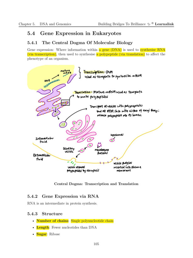 H2 Biology Mastery Guide: Coloured, Concise A-Level Notes - Singapore Edition