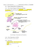 H2 Biology Mastery Guide: Coloured, Concise A-Level Notes - Singapore Edition
