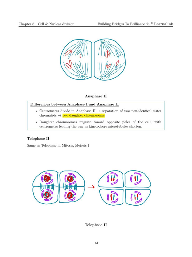 H2 Biology Mastery Guide: Coloured, Concise A-Level Notes - Singapore Edition