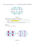 H2 Biology Mastery Guide: Coloured, Concise A-Level Notes - Singapore Edition