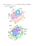 H2 Biology Mastery Guide: Coloured, Concise A-Level Notes - Singapore Edition
