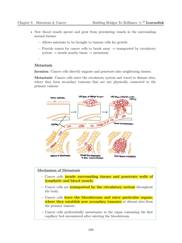 H2 Biology Mastery Guide: Coloured, Concise A-Level Notes - Singapore Edition