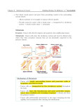 H2 Biology Mastery Guide: Coloured, Concise A-Level Notes - Singapore Edition