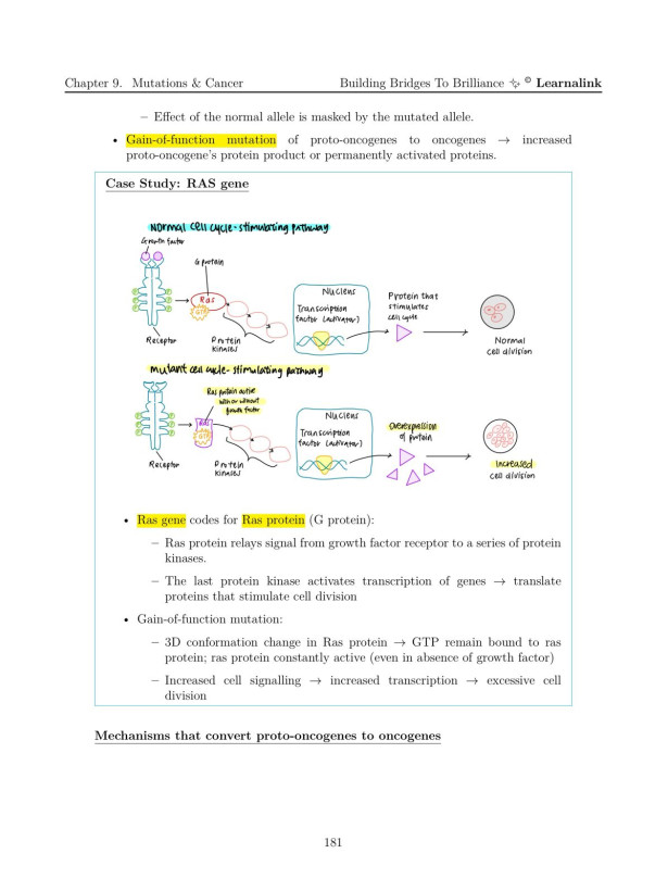 H2 Biology Mastery Guide: Coloured, Concise A-Level Notes - Singapore Edition