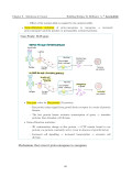 H2 Biology Mastery Guide: Coloured, Concise A-Level Notes - Singapore Edition