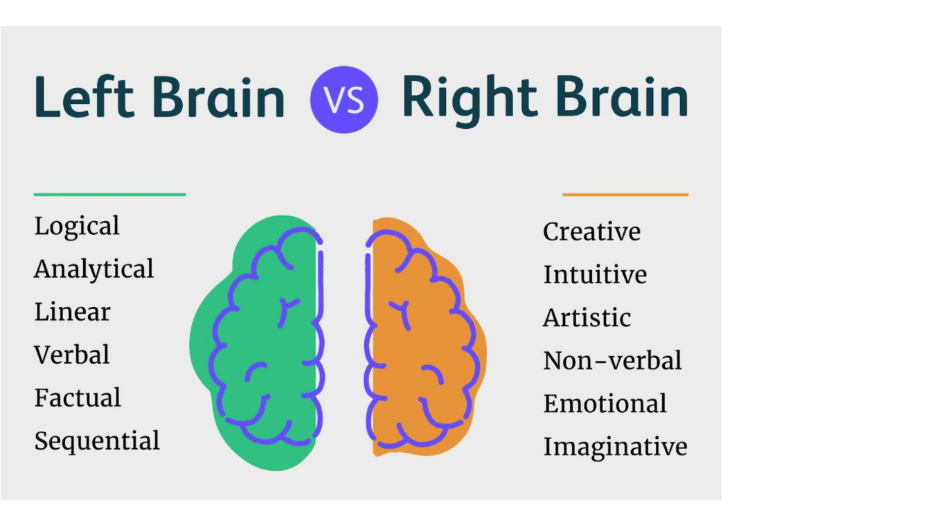 The Battle of the Brain: Left-Brained vs. Right-Brained Students in ...