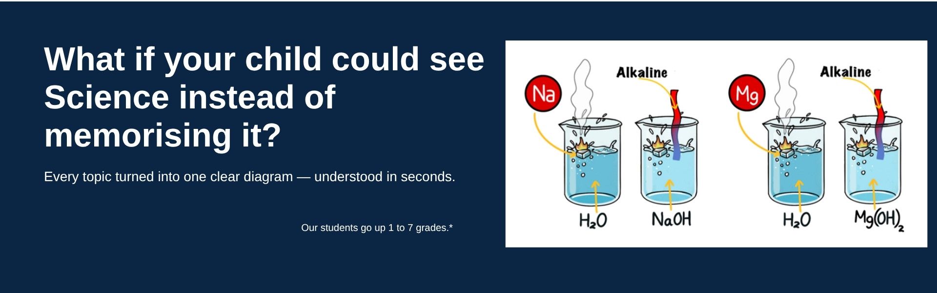 What if your child could see Science instead of memorising it? Learnalink diagrammatic notes